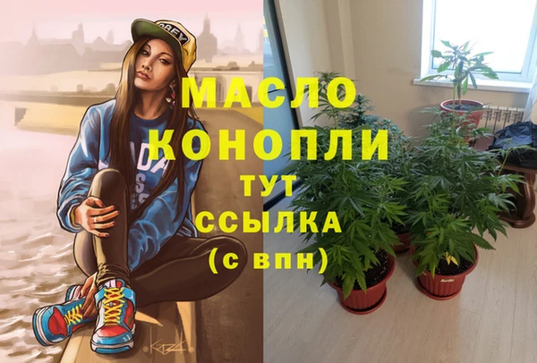 МДПВ Елабуга