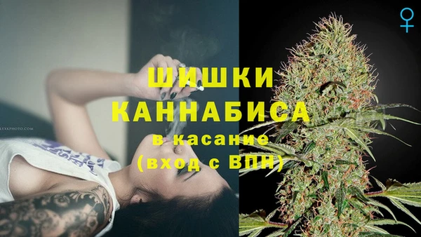 ГАЛЛЮЦИНОГЕННЫЕ ГРИБЫ Наволоки
