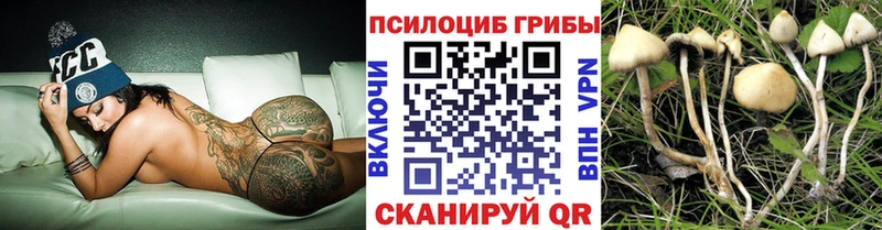 Галлюциногенные грибы мухоморы  где продают наркотики  Кувандык 