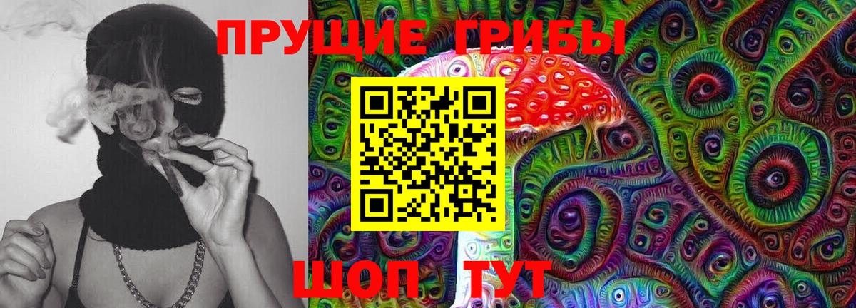 Псилоцибиновые грибы Cubensis  Кувандык  Псилоцибиновые грибы Psilocybe 