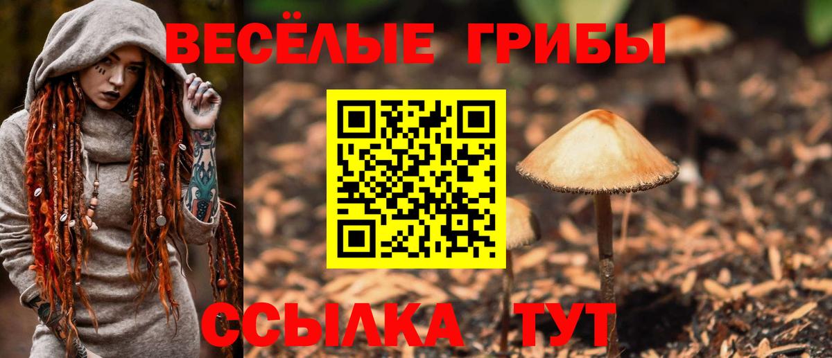Галлюциногенные грибы MAGIC MUSHROOMS  Вход с VPN  Кувандык 