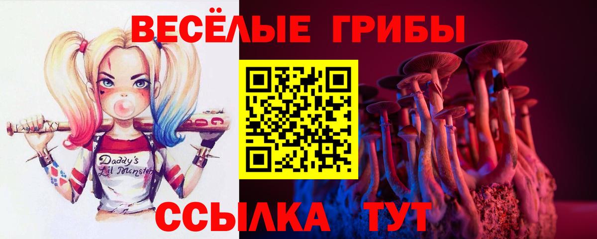 Псилоцибиновые грибы Cubensis Кувандык